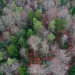 To już oficjalne: mamy jeden z największych rezerwatów