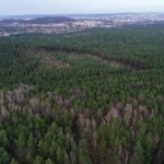 02.02.2024. Kielce. Rezerwat Przyrody Biesak-Białogon / Fot. Jarosław Kubalski - Radio Kielce