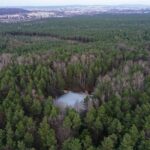 02.02.2024. Kielce. Rezerwat Przyrody Biesak-Białogon / Fot. Jarosław Kubalski - Radio Kielce