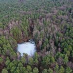 02.02.2024. Kielce. Rezerwat Przyrody Biesak-Białogon / Fot. Jarosław Kubalski - Radio Kielce