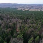 02.02.2024. Kielce. Rezerwat Przyrody Biesak-Białogon / Fot. Jarosław Kubalski - Radio Kielce