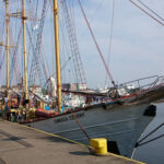 Zawisza Czarny / Fot. Artur Piwko