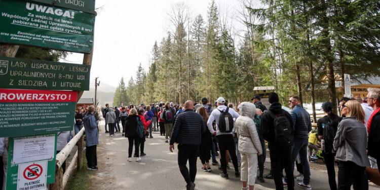 Tłumy turystów w Dolinie Chochołowskiej. Kwitną krokusy