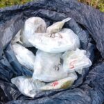 Fot. Świętokrzyska Policja