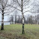 12.03.2024. Końskie. Oficjalne rozpoczęcie budowy osiemdziesięciu mieszkań Społecznej Inicjatywy Mieszkaniowej SMS (Świętokrzyskie, Małopolskie, Śląskie) / Fot. Magdalena Galas-Klusek – Radio Kielce