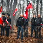 Las w Zgórsku to niemy świadek mordu polskich bohaterów - Radio Kielce