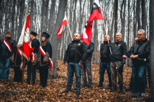 Las w Zgórsku to niemy świadek mordu polskich bohaterów - Radio Kielce