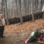 Las w Zgórsku to niemy świadek mordu polskich bohaterów - Radio Kielce