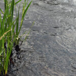 W niedzielę możliwe wzrosty i gwałtowne wahania na rzekach w związku z burzami