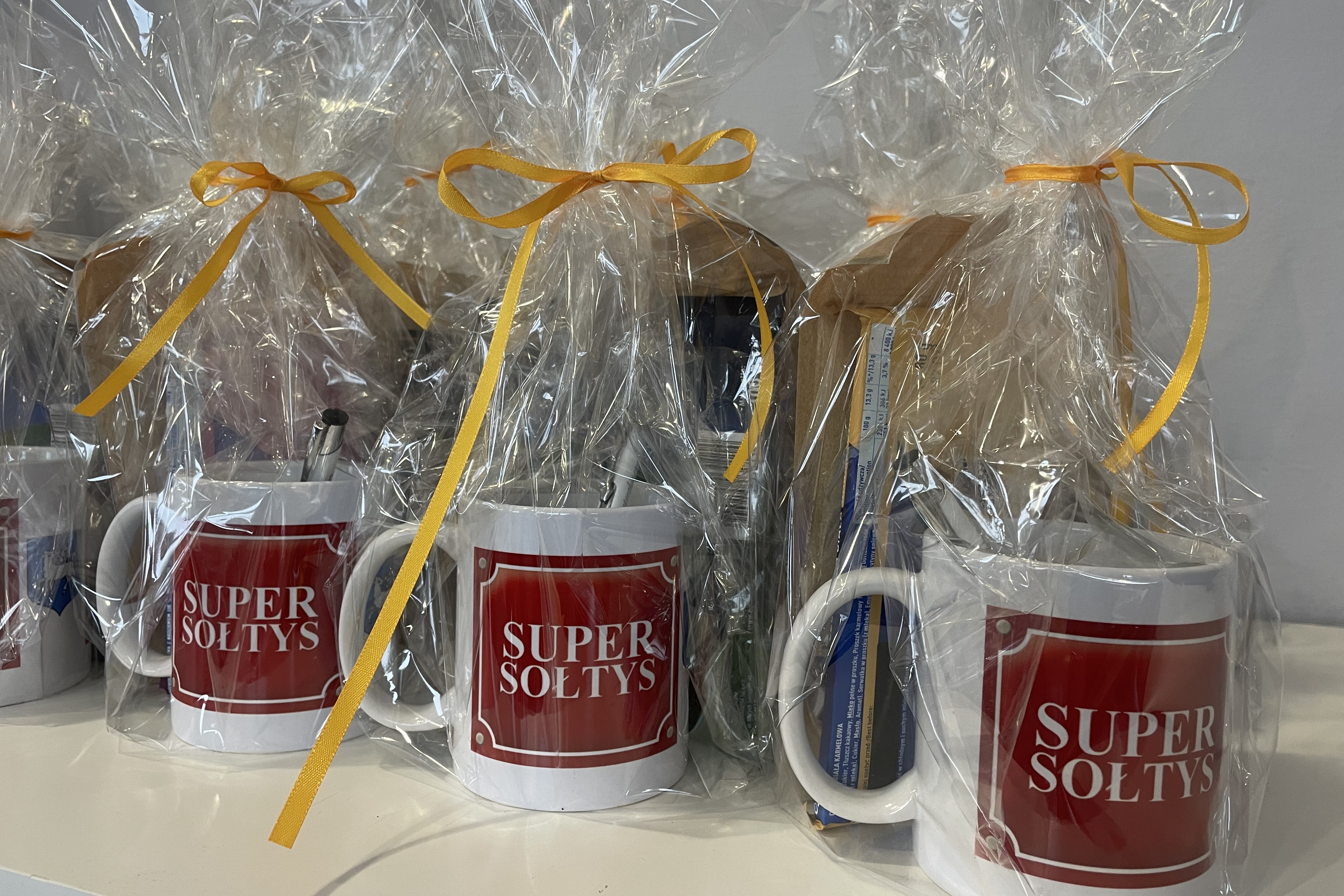 Sołtys we wsi jest figura