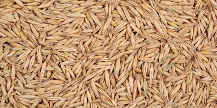 Wzrosły ceny wszystkich podstawowych produktów rolnych - Radio Kielce