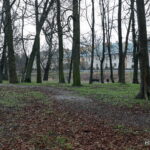 Staszów zmieni swoje oblicze - Radio Kielce