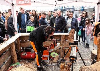 Widowiskowe pokazy maszyn na Las-Expo  - Radio Kielce