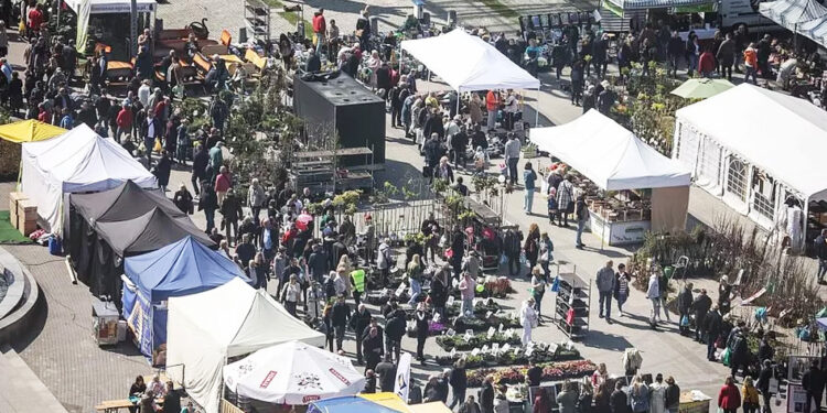 To będzie weekend dla pasjonatów urządzania domu i ogrodu - Radio Kielce