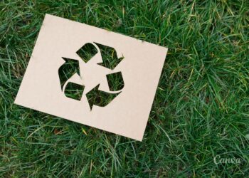 Światowy Dzień Recyklingu - Radio Kielce
