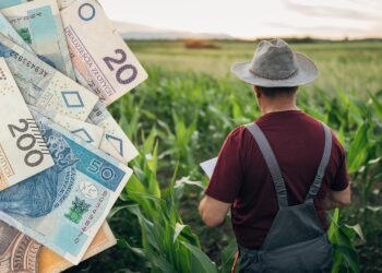 Jakie składki na ubezpieczenia dla rolników w II kwartale 2024 roku? - Radio Kielce