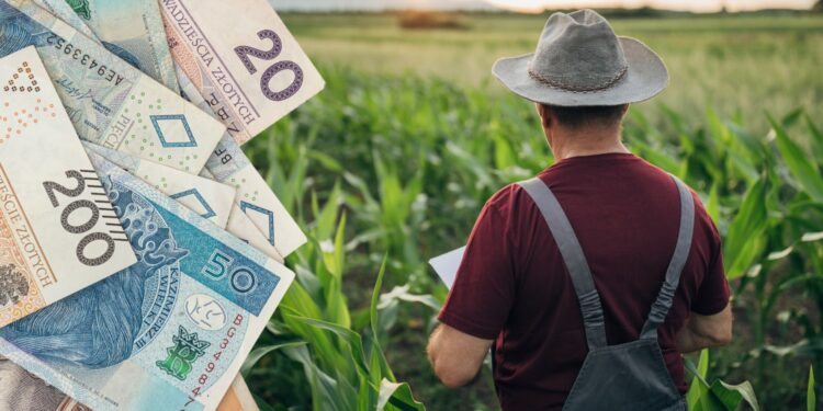 Jakie składki na ubezpieczenia dla rolników w II kwartale 2024 roku? - Radio Kielce