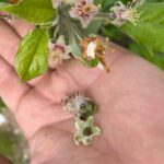 Przemarznięcia / Fot. Krzysztof Tworek