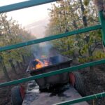 Walka z przymrozkiem w sadach / Fot. Krzysztof Tworek