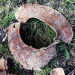 03.04.2024. Fragmenty zbroi husarskiej. Obojczyk bezpośrednio po odnalezieniu / Fot. P. Chmielewski
