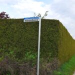 Stary Dziebałtów / Fot. Karolina Kifer