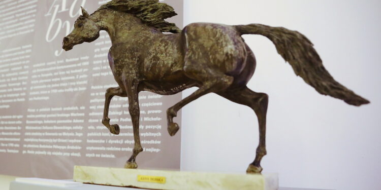 Wystawa, która powstała z pasji do fotografii i miłości do koni