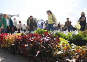 13.04.2024. Kielce. Targi Dom, Ogród i Ty / Fot. Wiktor Taszłow - Radio Kielce