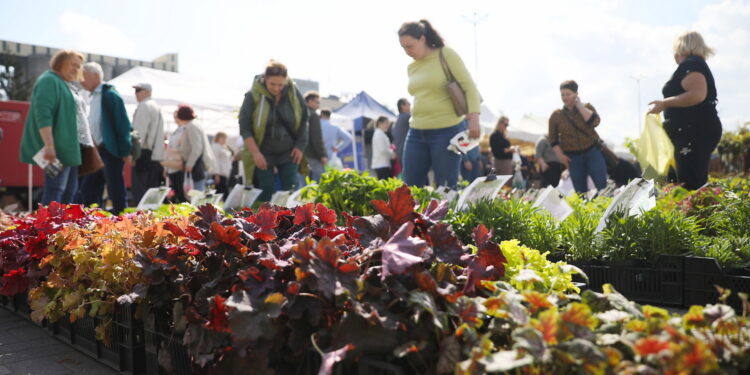 Mnóstwo atrakcji na początek wiosny w Targach Kielce - Radio Kielce 13.04.2024. Kielce. Targi Dom, Ogród i Ty / Fot. Wiktor Taszłow - Radio Kielce