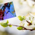 Nadszedł saharyjski pył, a nadciąga chłód [PROGNOZA POGODY]