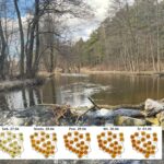 Noc z przymrozkami. Synoptycy podają, kiedy wraca ciepło! [PROGNOZA POGODY]