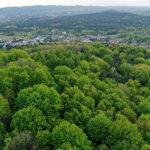 Rezerwat Karczówka - Radio Kielce