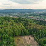 Rezerwat Karczówka - Radio Kielce