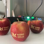 Jabłka grawerowane laserem / Fot. Grażyna Szlęzak - Radio Kielce