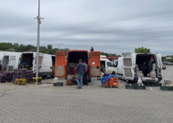 Władze Sandomierza chcą odzyskać pieniądze