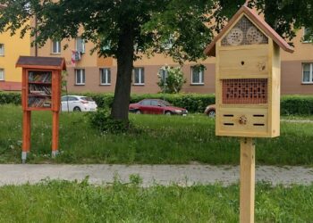 Na miejskich skwerach pojawiły się budki dla owadów – szczególnie dla pszczół murarek i trzmieli