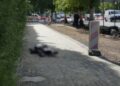 Tragedia w Kielcach. Mężczyzna leżał na chodniku i nie dawał oznak życia