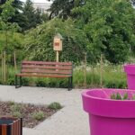 Skarżysko-Kamienna. Domki dla pszczół murarek / Fot. UM Skarżysko