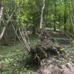 05.05.2024. Kielce. Góra Kolejowa. / Fot. Dionizy Krawczyński - Radio Kielce