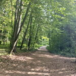 05.05.2024. Kielce. Góra Kolejowa. / Fot. Dionizy Krawczyński - Radio Kielce