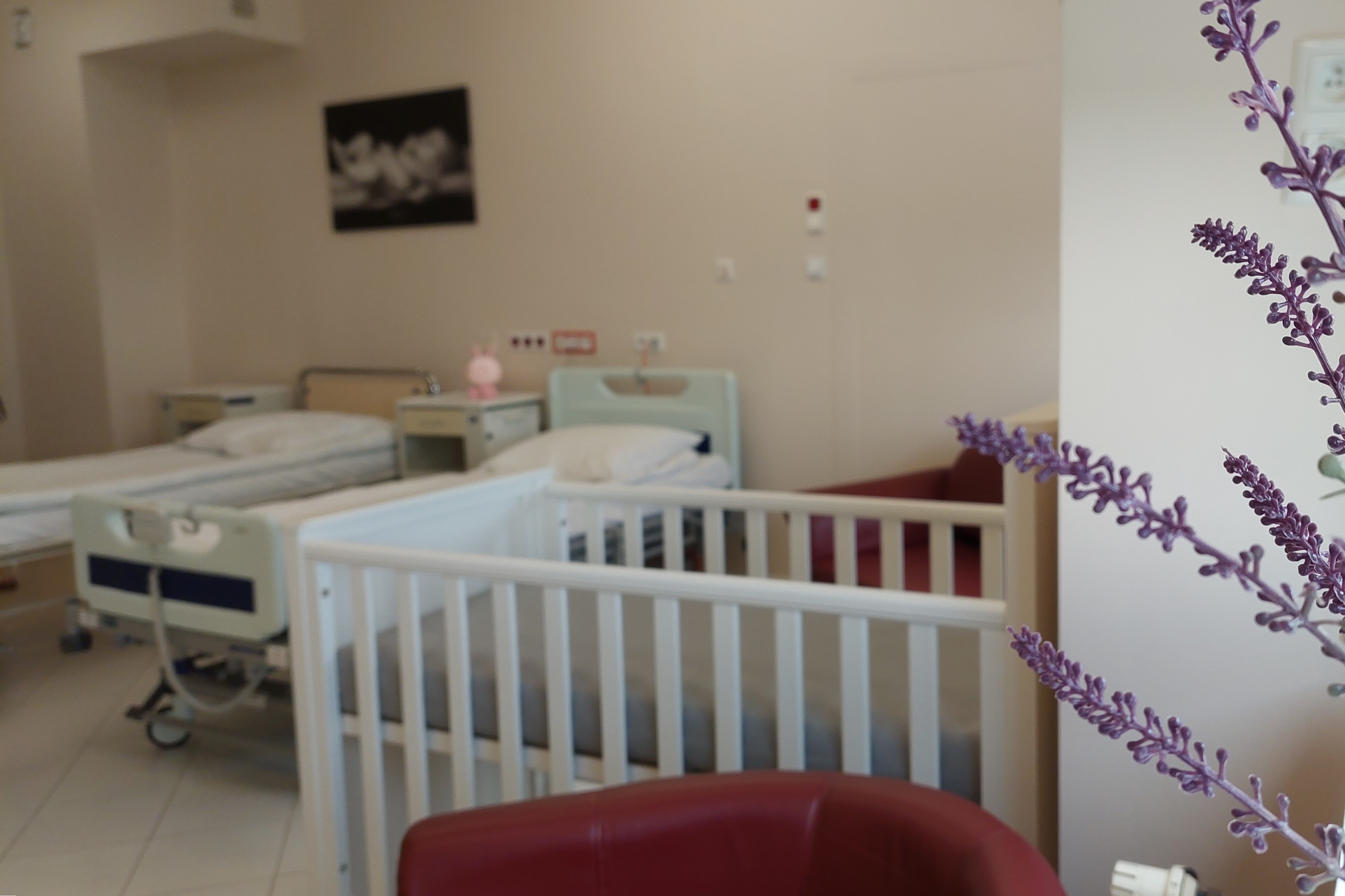 Drzwi otwarte starachowickiej porodówki. Można się zapisywać