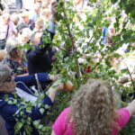 30.05.2024. Kielce. Boże Ciało. Procesja do czterech ołtarzy / Fot. Wiktor Taszłow - Radio Kielce