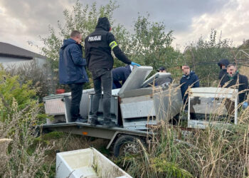Jędrzejowscy policjanci zabezpieczyli blisko pół tony narkotyków, prekursorów i substancji do ich wytwarzania / Fot. KPP w Jędrzejowie