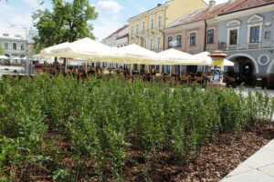 28.05.2024 Kielce. Rynek po rewitalizacji / Fot. Jarosław Kubalski - Radio Kielce