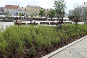 28.05.2024 Kielce. Rynek po rewitalizacji / Fot. Jarosław Kubalski - Radio Kielce