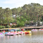 Największa zjeżdżalnia w Polsce ma stanąć w Sielpi