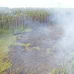 17.05.2024. Snochowice. Pożar lasu / Fot. Jarosław Kubalski - Radio Kielce