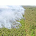 17.05.2024. Snochowice. Pożar lasu / Fot. Jarosław Kubalski - Radio Kielce