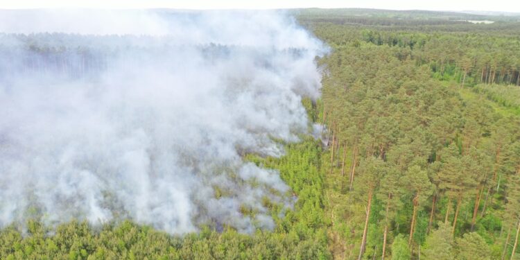 Strażacy apelują o ostrożność. Upały sprzyjają pożarom i zatruciom czadem