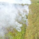 17.05.2024. Snochowice. Pożar lasu / Fot. Jarosław Kubalski - Radio Kielce