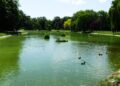 Kielce. Park Miejski im. Stanisława Staszica. Staw / Fot. Jarosław Kubalski - Radio Kielce